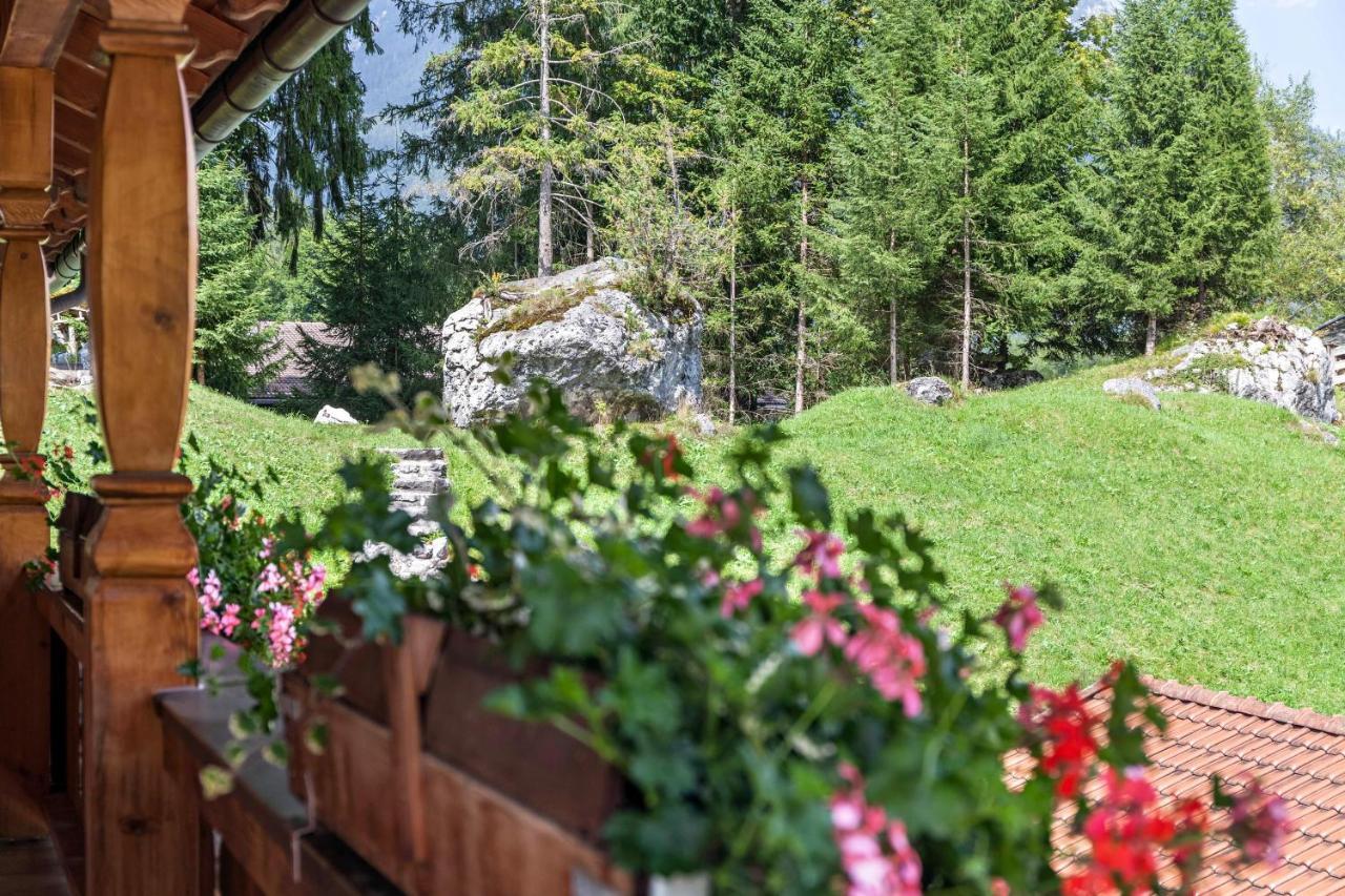 Ferienwohnung Edelweiss Грайнау Екстериор снимка